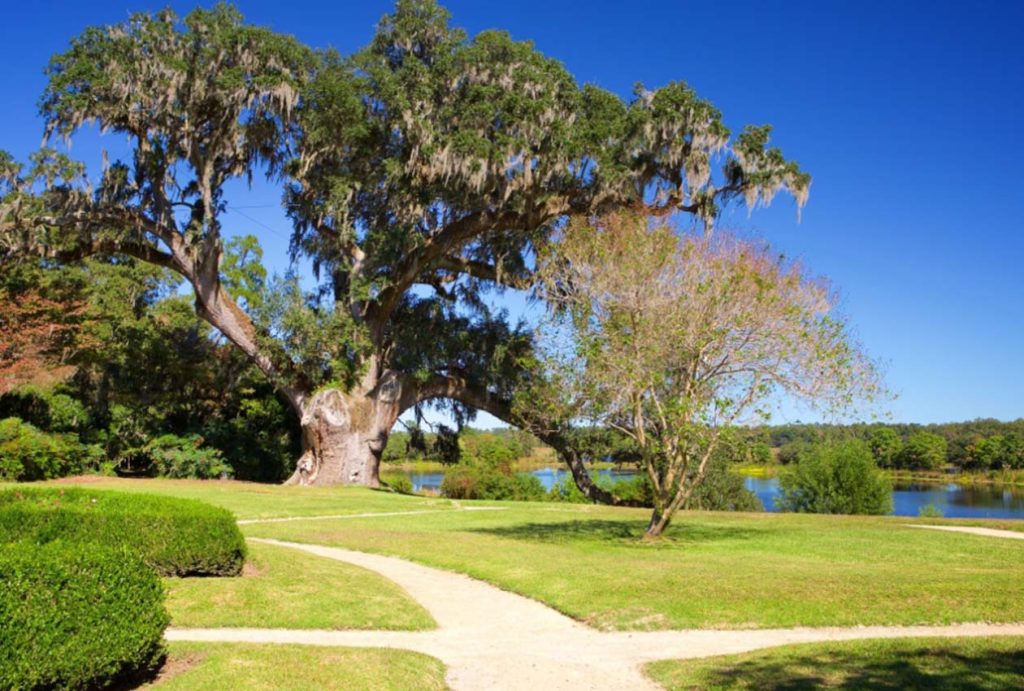 Illuminating History: Charleston’s Must-Visit Landmarks Unveiled