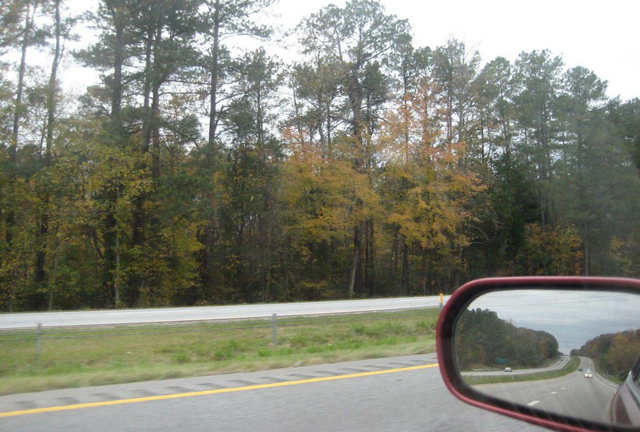 Road Trips from Atlanta: Discovering Natural Wonders in a Day