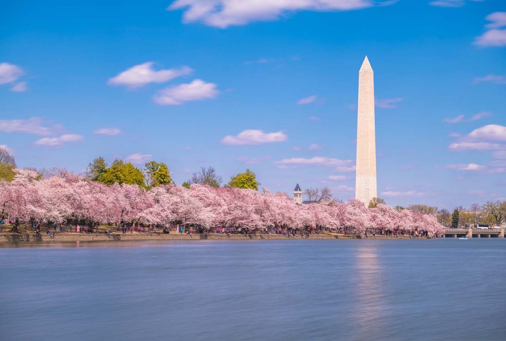 Best Seasons to Visit Washington D.C.: A Comprehensive Guide