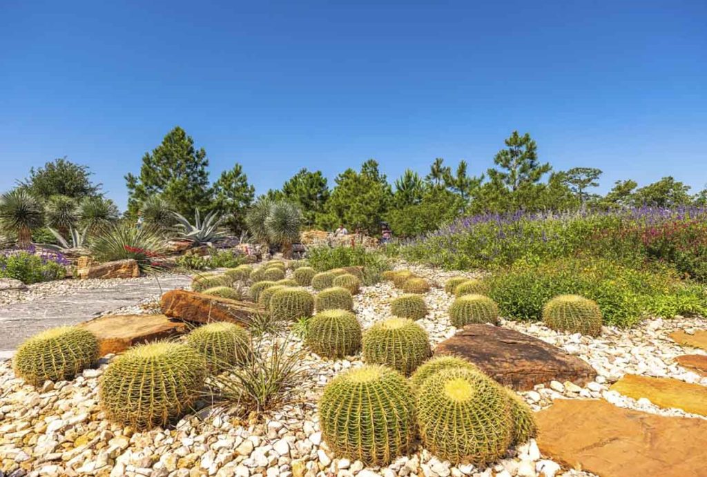 Houston Botanic Gardens: The Beauty of Seasonal Changes