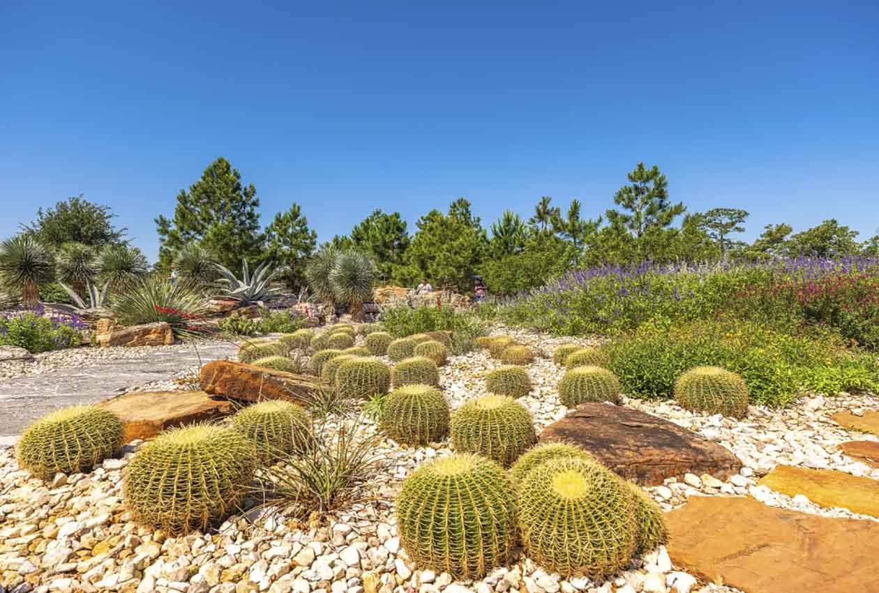 Houston Botanic Gardens: The Beauty of Seasonal Changes